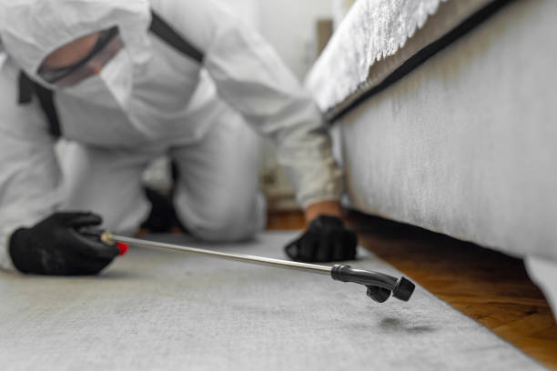 Professional Bed Bug Control technician working in Montebello, CA